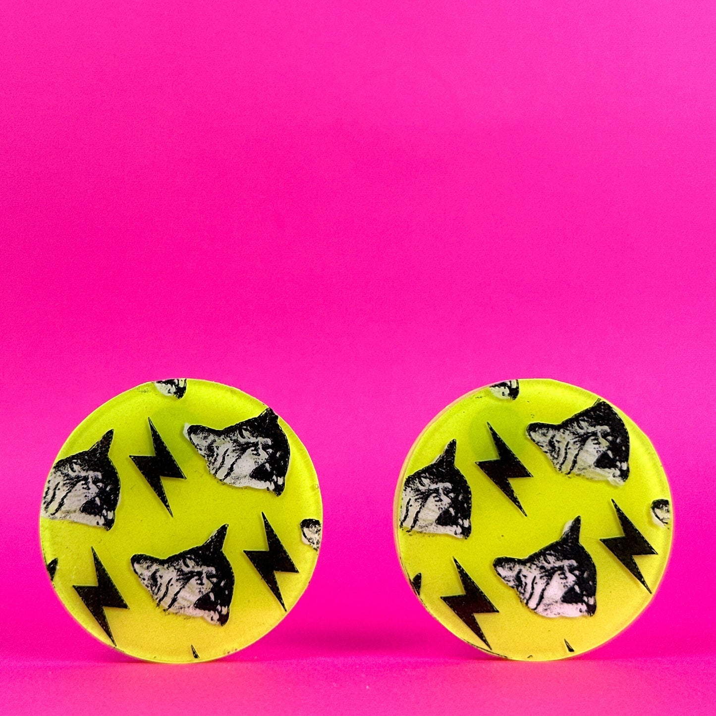 Neon Pop Art Frank Cat Earrings