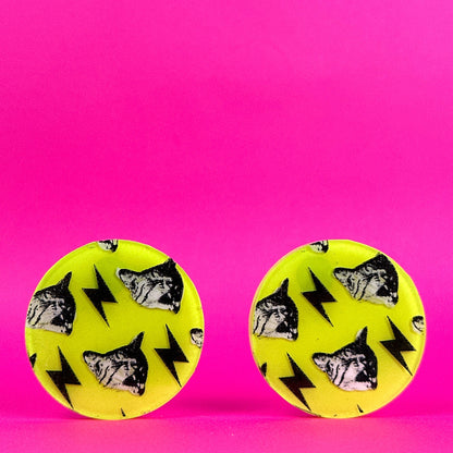 Neon Pop Art Frank Cat Earrings